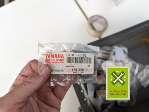 PXL_20240528_175720218